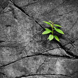 Mécanique des sols et géotechnique