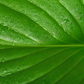 Métier : responsable environnement