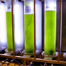 Éco-conception et innovation responsable